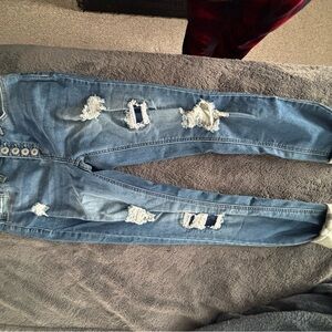 Arizona Jean Company Blue Distressed Skinny Jeans